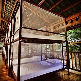 Bunk bed in La Sirena Ranger Station in Corcovado National Park